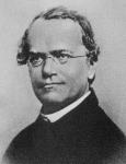 mendel.gif